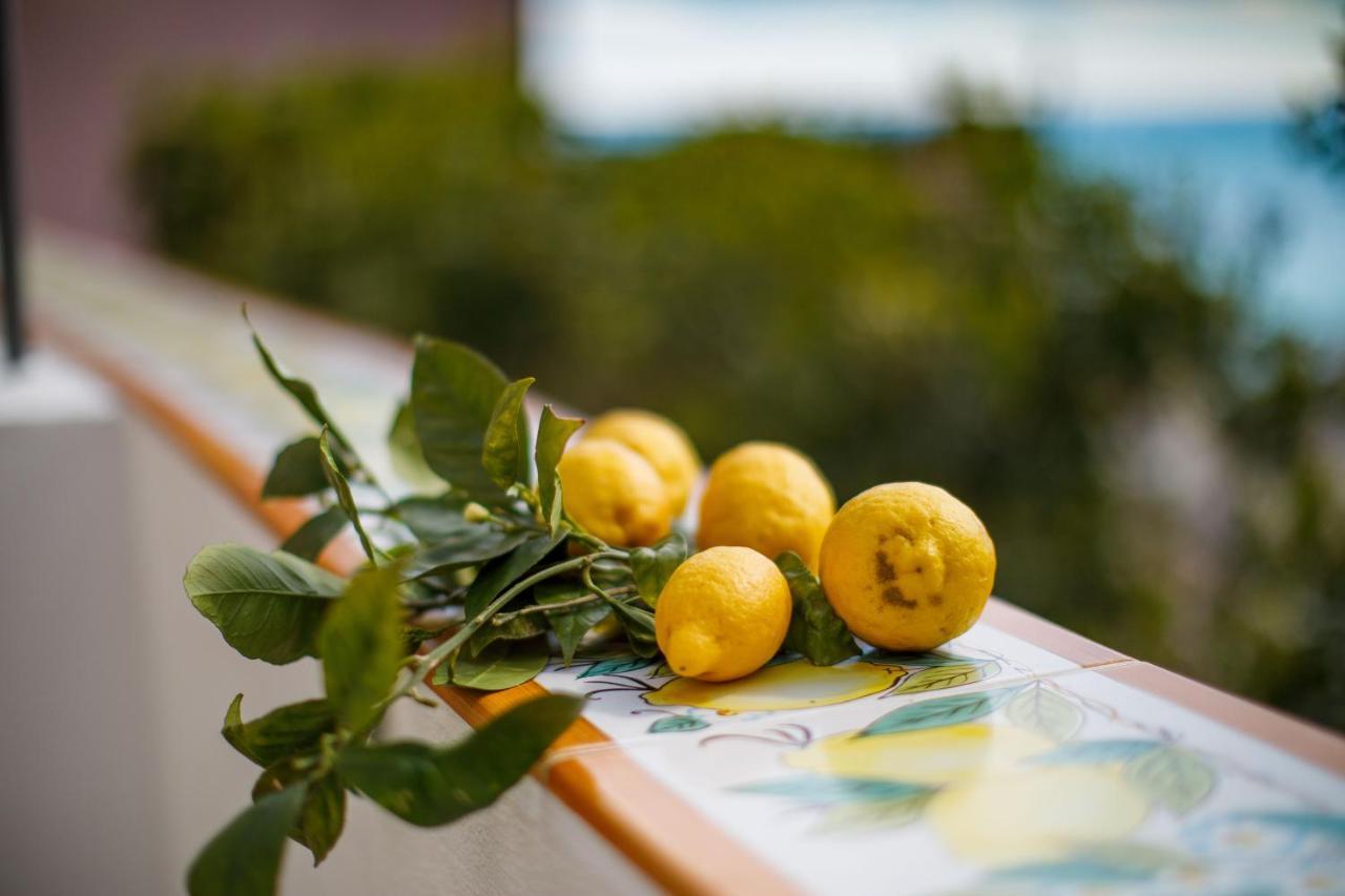 Il Sogno Di Positano *